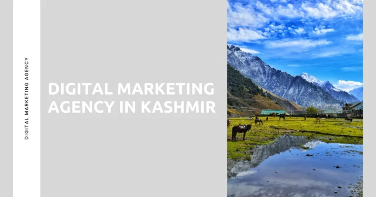 Grow Your Business with the Best Digital Marketing Agency in Kashmir