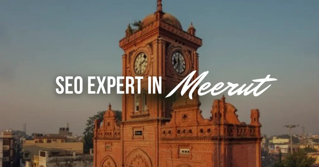 SEO Expert in Meerut