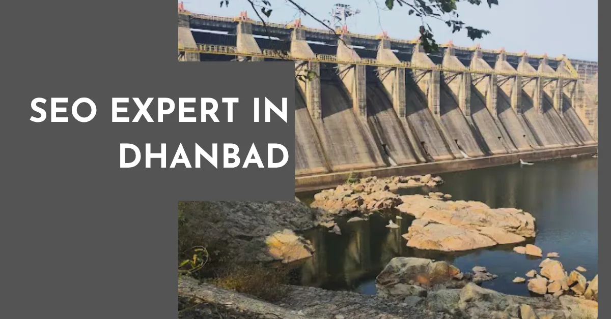 SEO Expert in Dhanbad