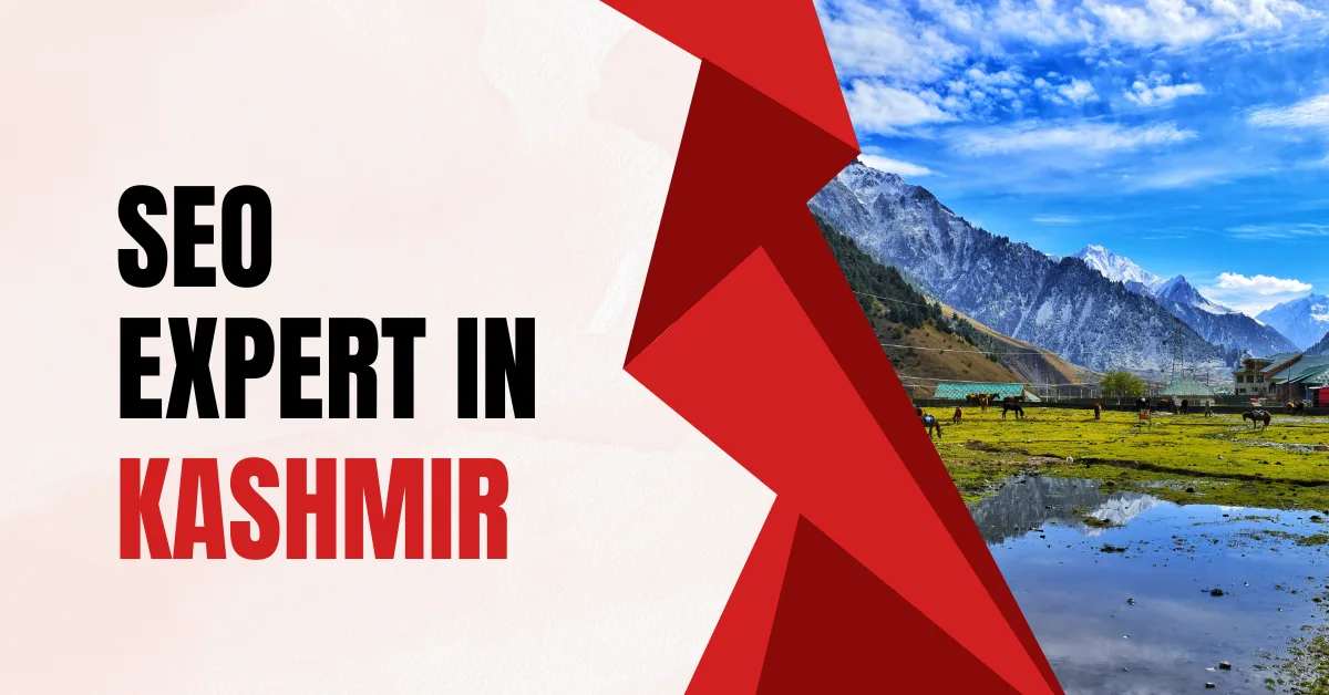 SEO Expert in Kashmir