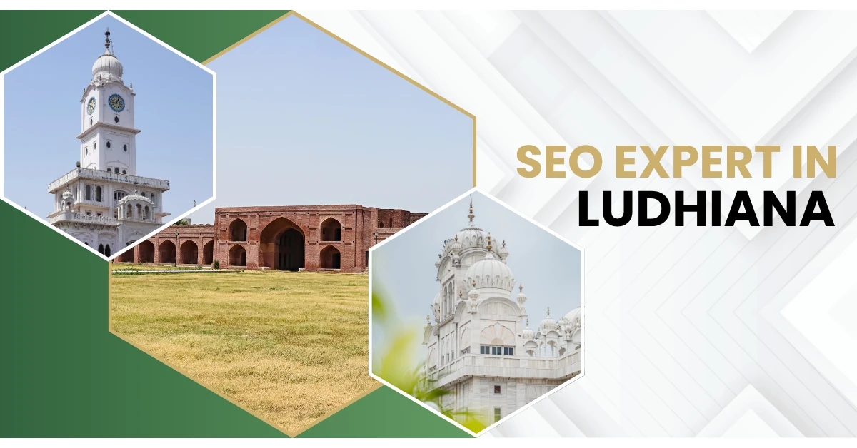 SEO Expert in Ludhiana