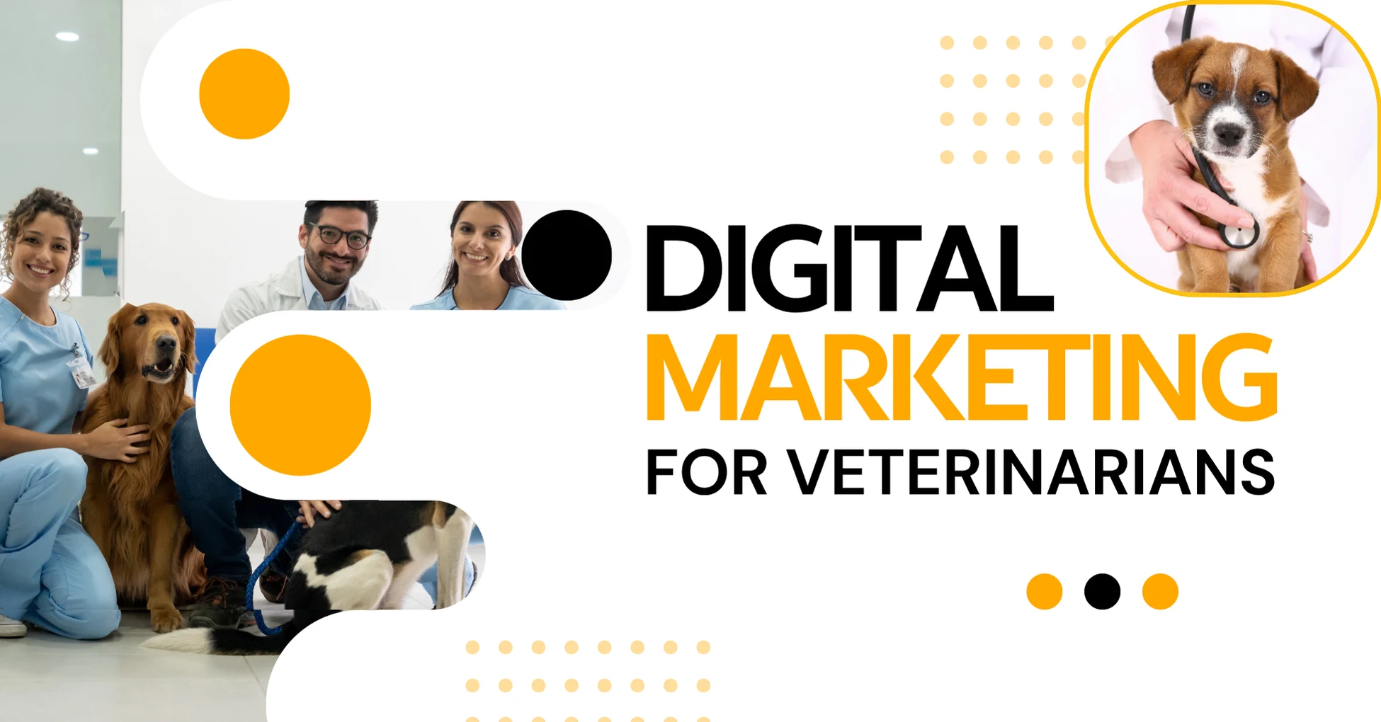 Digital Marketing for Veterinarians: A Complete Guide to Attract More Pet Owners