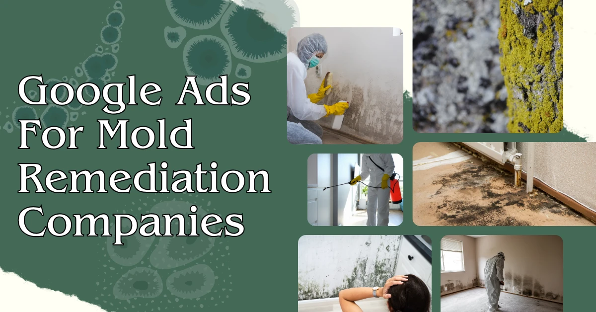 Google Ads For Mold Remediation Companies: A Complete Advertising Guide
