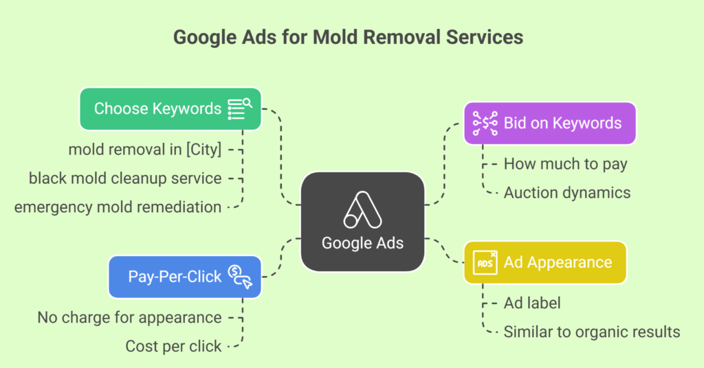 Benefits of Hiring Google Ads Specialist for Mold Remediation Companies