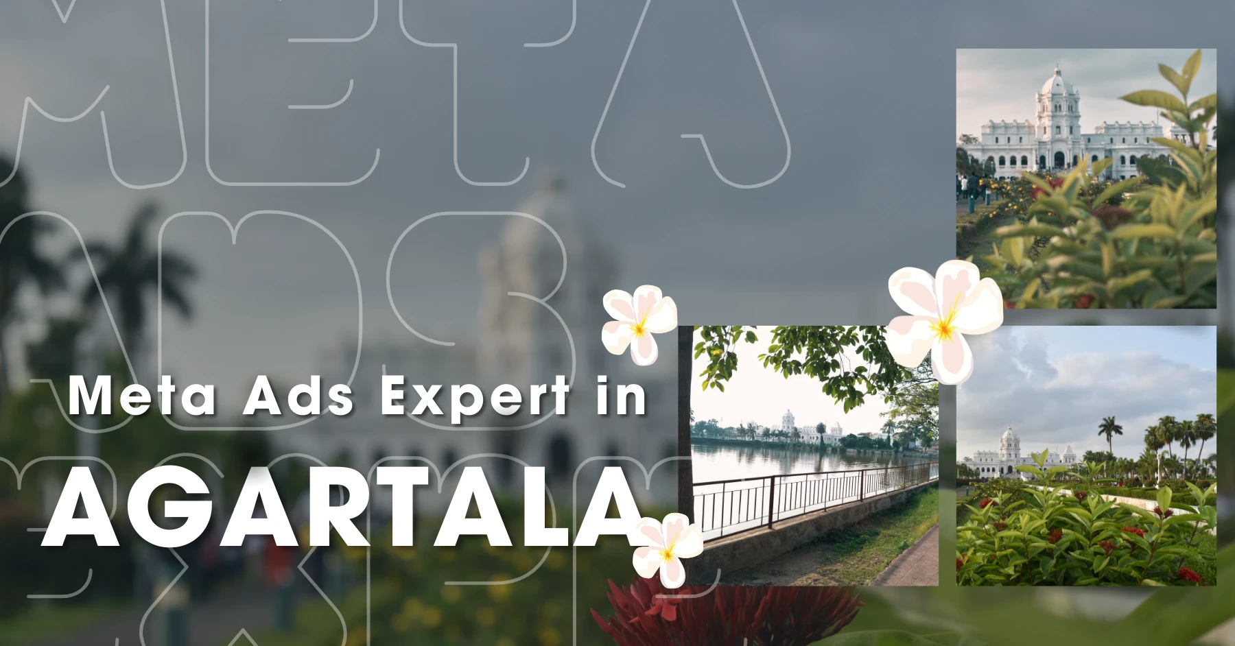 Meta Ads Expert in Agartala